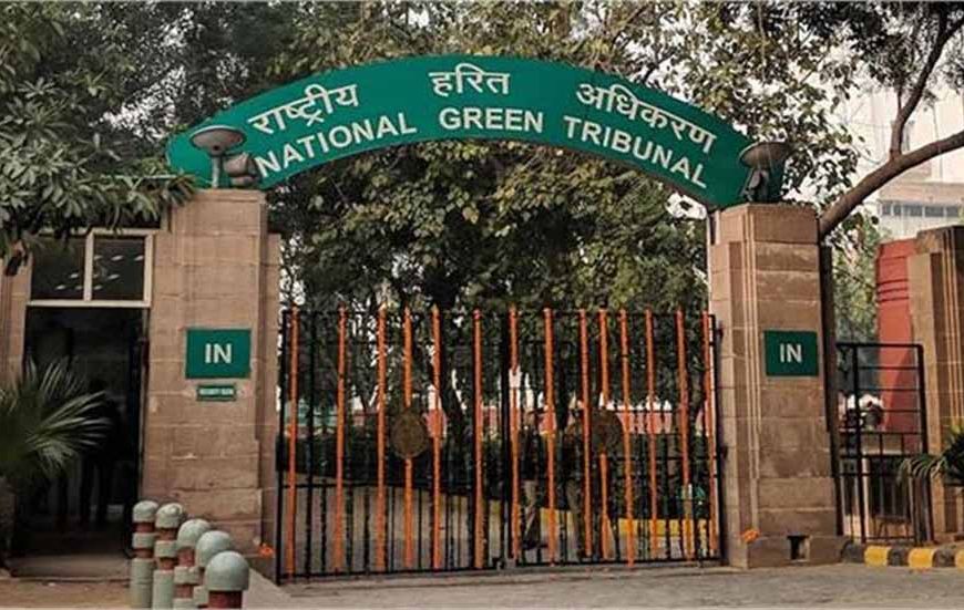 यमुना की जैव विविधता पर संकट: गिरावट मामले में NGT ने फैसला सुरक्षित रखा