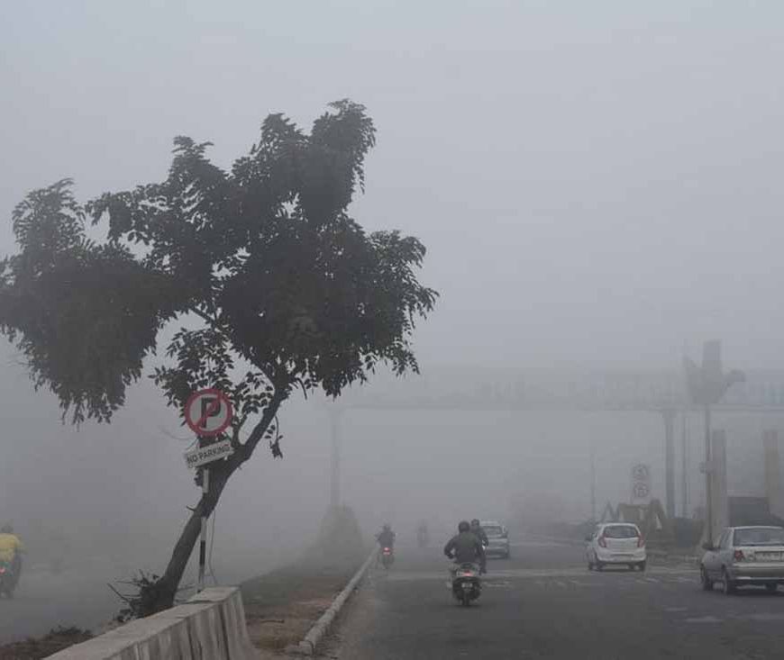 कड़ाके की ठंड का कहर: पंजाब-हरियाणा और चंडीगढ़ में शीतलहर, घने कोहरे से जनजीवन प्रभावित