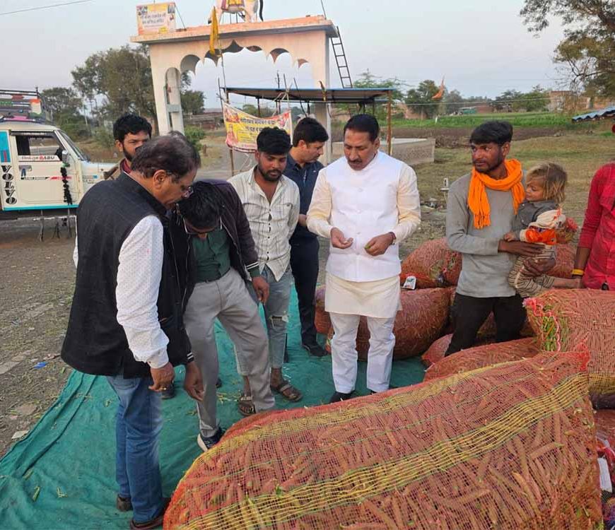 कृषि मंत्री कंषाना ने मटर की फसल का निरीक्षण कर किसानों से किया संवाद