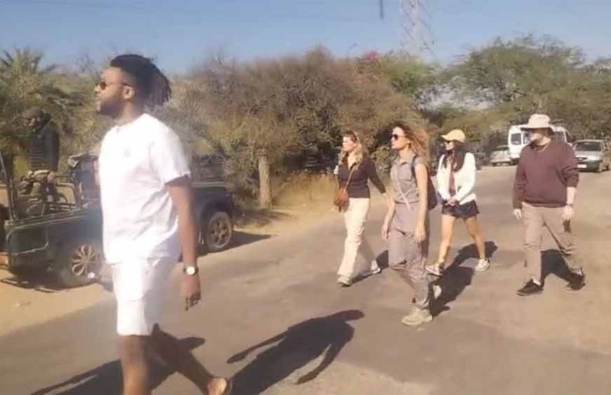 न्यू ईयर सेलिब्रेशन का हॉटस्पॉट बने एमपी के टाइगर रिज़र्व, 10 दिन देसी-विदेशी सैलानियों से रहे गुलजार