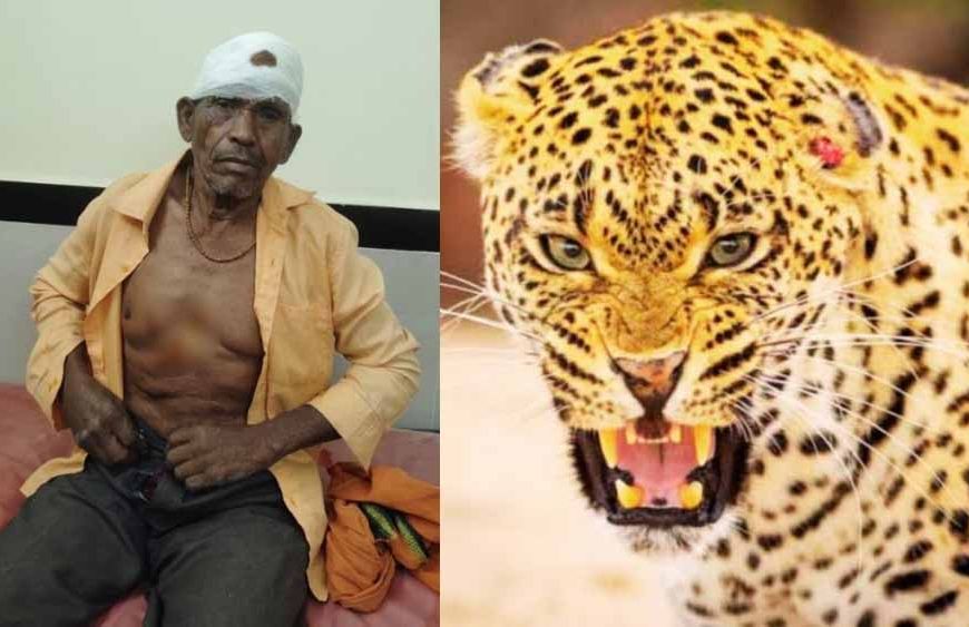 ग्रामीण पर तेंदुए का हमला, जंगल से नीम की पत्तियां लेने गया था