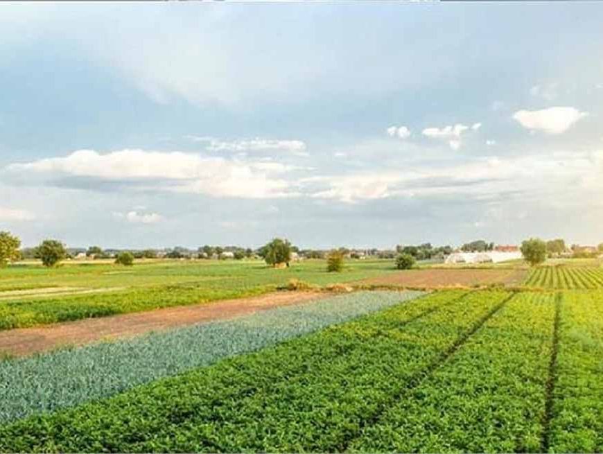 अब नहीं होगी देरी! भूमि बंटवारे के मामलों का होगा फास्ट ट्रैक निपटारा, हरियाणा सरकार का बड़ा फैसला