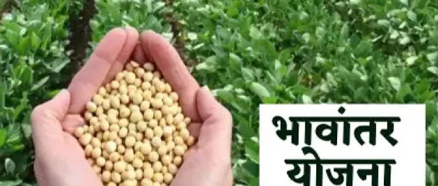 भावांतर योजना में सोयाबीन का मॉडल रेट 4345 रुपए जारी