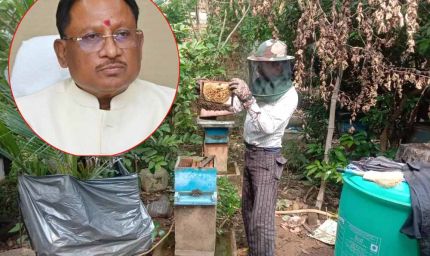 CG News: साय सरकार में खेती के साथ मधुमक्खी पालन बनीं उदय राम की रोजगार की कुंजी, कृषि विज्ञान केंद्र से लिया था प्रशिक्षण