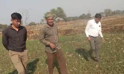 धमतरी : धमतरी जिले में फसल चक्र परिवर्तन एवं मृदा स्वास्थ्य सुदृढ़ीकरण की दिशा में महत्वपूर्ण पहल
