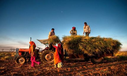 नए साल में मध्य प्रदेश को मिलेंगी खास सौगातें, युवाओं और किसानों के लिए खुशखबरी