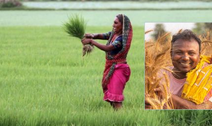 नए साल की गुड न्यूज: किसानों ने भरी झोली, चीन को छोड़ा पीछे, भारत की खेती में नया रिकॉर्ड