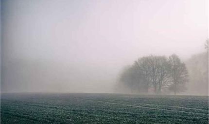 घने कोहरे से घरों में रहने को मजबूर लोग, आम जिंदगी पूरी तरह प्रभावित