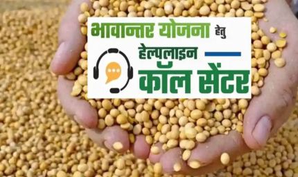 भावांतर योजना में सोयाबीन का मॉडल रेट 4458 रुपए जारी