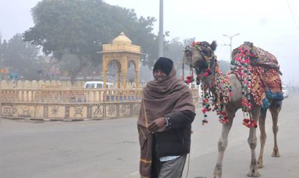 राजस्थान में घना कोहरा और शीतलहर का कहर, 20 जिलों में स्कूल हुए बंद