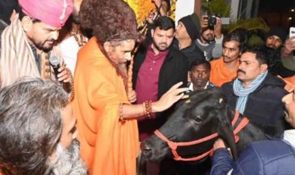बृजभूषण शरण सिंह का खास तोहफा: ऋतेश्वर महाराज को जन्मदिन पर दी दुर्लभ गाय, कीमत चौंकाने वाली