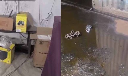 गिरिडीह की सीसीएल वर्कशॉप में रात डेढ़ बजे घुसे 20–25 अपराधी, गार्डों को बंधक बनाकर लाखों की लूट