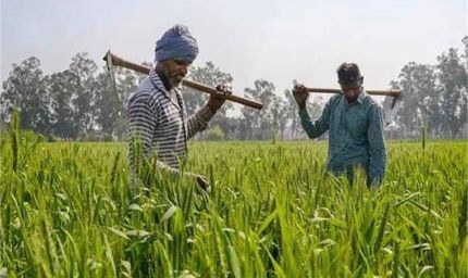 PM-KISAN पर बड़ा ऐलान संभव! बजट 2026 में बढ़ सकती है किसान सम्मान निधि, जानें कितनी होगी नई किश्त