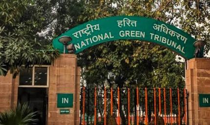 एमपी में प्रदूषण की बढ़ती समस्या, NGT ने सरकार से 8 शहरों पर रिपोर्ट मांगी
