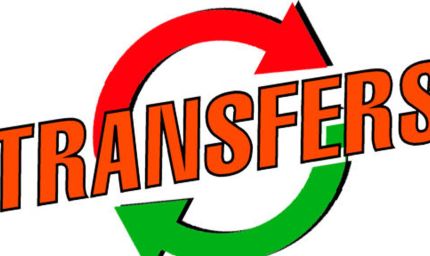 वन विभाग में बड़ा फेरबदल: 28 IFS और 20 राज्य वन सेवा अधिकारियों के ट्रांसफर