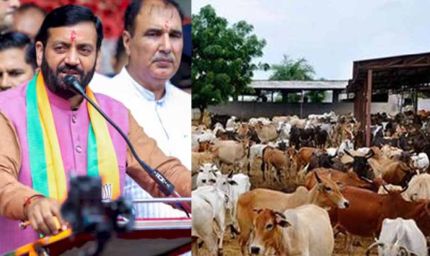 हरियाणा में एक ही पंजीकरण पर मिलेगा लाभ, अलग-अलग गोशालाओं को दो रुपये यूनिट मिलेगी बिजली