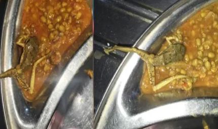 मेस के खाने में निकला मरा मेंढक और कीड़े-मकोड़े, डेंटल कॉलेज में गंभीर लापरवाही का खुलासा