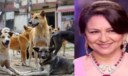 ‘आप हकीकत से पूरी तरह अलग हैं’ — आवारा कुत्तों के मुद्दे पर SC की शर्मिला टैगोर को सख्त फटकार
