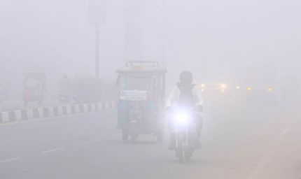 MP में सर्दी का कहर, 25 शहरों में पारा 10° से नीचे, खजुराहो में 3.6°; 15 जिलों में कोहरा, ग्वालियर-चंबल में दिन भी ठिठुरे