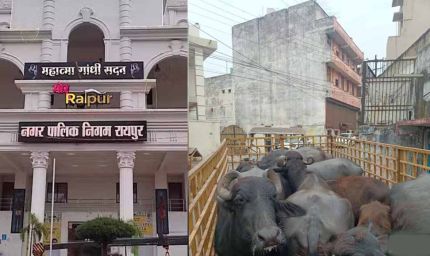 डेयरी संचालक पर 10000 का ई-जुर्माना, रायपुर नगर निगम ने दिया नोटिस और चेतावनी