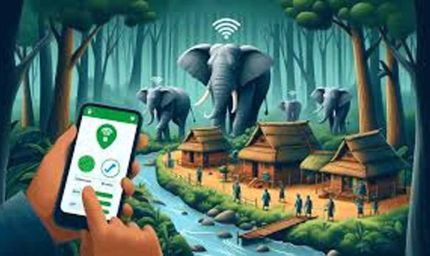 गरियाबंद को मानव-हाथी द्वंद्व रोकने पर मिला मुख्यमंत्री उत्कृष्ट पुरस्कार, एलिफेंट ट्रैकिंग अलर्ट एप बना मददगार