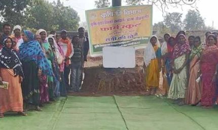 50 वर्षों बाद धमतरी के आदिवासी अंचल में रबी खेती की वापसी