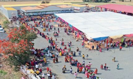 मकर संक्रांति पर कुबेरेश्वरधाम में भक्तों का उमड़ा सैलाब, शिव भोग के लिए बने 5100 तिल-गुड़ के लड्डू