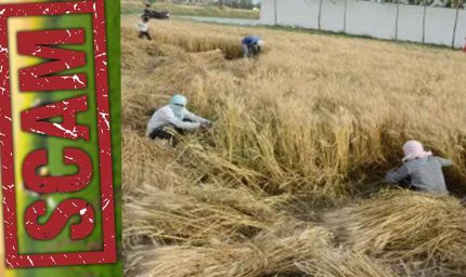 बीमा क्लेम घोटाले पर हरियाणा सरकार की बड़ी कार्रवाई, कृषि विभाग के सयुंक्त निदेशक निलंबित