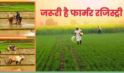 फार्मर रजिस्ट्री में बस्ती, गाजियाबाद और रामपुर पहले तीन स्थानों पर