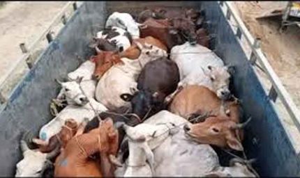 ओडिशा में गोमांस अफवाह से हड़कंप, भीड़ ने दुकान और वाहन जलाए