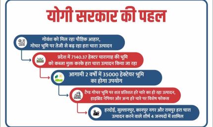 योगी सरकार की संवेदनशील पहल: गोवंश को मिल रहा पौष्टिक आहार, गोचर भूमि पर तेजी से बढ़ रहा हरा चारा उत्पादन