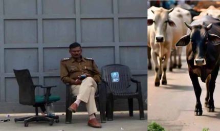 गोमांस को भैंस का सर्टिफाइड करता है डॉ. बीपी गौर, अत्याधुनिक पैकेजिंग कर दुबई सहित खाड़ी देशों में हो रहा सप्लाई