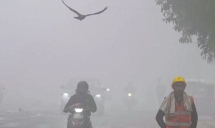 23-24 जनवरी को 10 जिलों में बारिश और कोहरे का अलर्ट, आज से बादलों की चादर में लिपटे होंगे इलाके