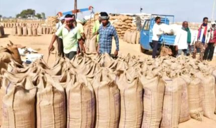 गत वर्ष से 8 लाख 22 हजार मीट्रिक टन अधिक हुई धान की खरीदी : खाद्य मंत्री राजपूत