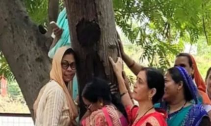 एमपी नगर में बनेगा नया खाद्य भवन, 50 साल पुराने 150 पेड़ काटने की योजना, करेंगे ‘चिपको आंदोलन’