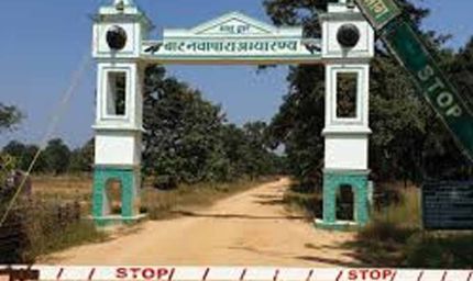 बारनवापारा अभयारण्य में वर्षों बाद फिर दिखी दुर्लभ वन्यजीव झलक