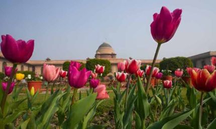 जनता के लिए आज से खुला राष्ट्रपति भवन का ‘अमृत उद्यान’ — जानें टिकट, टाइमिंग और जरूरी जानकारी