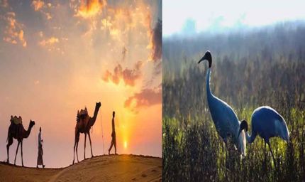 रेगिस्तान से महलों तक: राजस्थान की 10 सबसे खूबसूरत जगहें, जहां हर सफर बनता है यादगार