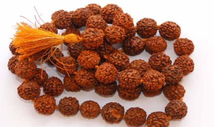 रुद्राक्ष धारण करने से पहले जान लें ये जरूरी नियम, नहीं तो नहीं मिलेगा पूरा फल