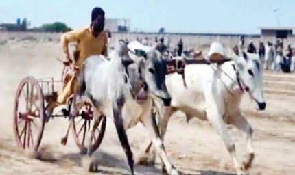 लुधियाना के किला रायपुर में फिर दौड़ेगी बैलगाड़ी, 11 साल बाद ग्रामीण ओलंपिक में वापसी, DC ने दिए नियमों के पालन के निर्देश