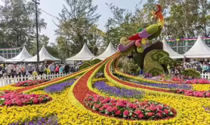 वाइब्रेंट की थीम पर होगा राज्य स्तरीय पुष्प महोत्सव, प्रदेश में उत्पादित फूलों की विभिन्न किस्मों का होगा प्रदर्शन