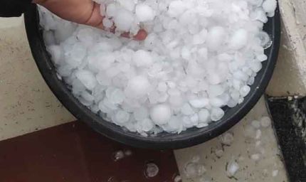 MP में ओले गिरे; 28 जिलों के लिए बारिश-आंधी का अलर्ट