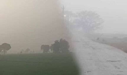 एमपी के 30 जिलों में बारिश, 8 जिलों में ओले गिरे; फसलों को नुकसान, 14 जिलों में आज अलर्ट