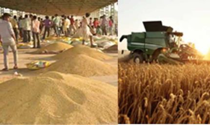 बिहार में 'कृषि सुपर बाजार' का किसानों को मिलेगा सीधा लाभ, बिचौलियों का खेल खत्म