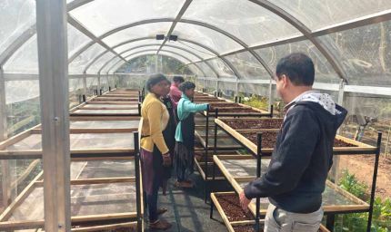 जशपुर में हरित तकनीक की पहल: DST प्रायोजित परियोजना से स्थापित हुआ सोलर टनल ड्रायर