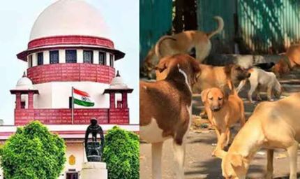 आवारा कुत्तों पर SC का फैसला जल्द, वकीलों से हफ्ते में मांगी दलीलें