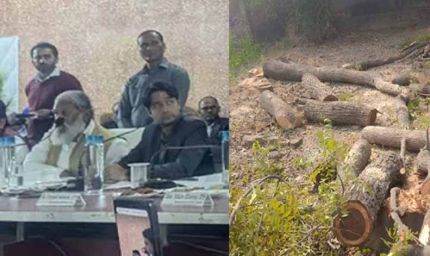 हरियाणा में 31 पेड़ों की कटाई पर दो अधिकारी सस्पेंड, मंत्री विज का बड़ा एक्शन