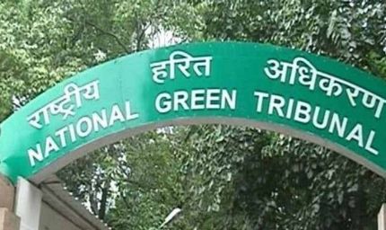 भोपाल का कलियासोत–भोज वेटलैंड विवाद: एनजीटी ने प्रशासन की निष्क्रियता पर लगाई फटकार
