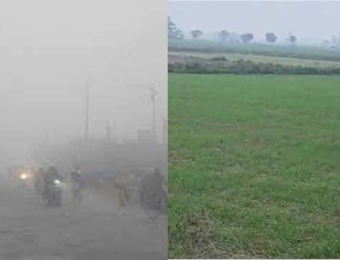 ठंड और पाले का कहर, पंजाब कृषि विश्वविद्यालय और विभाग ने किसानों के लिए जारी की एडवाइजरी