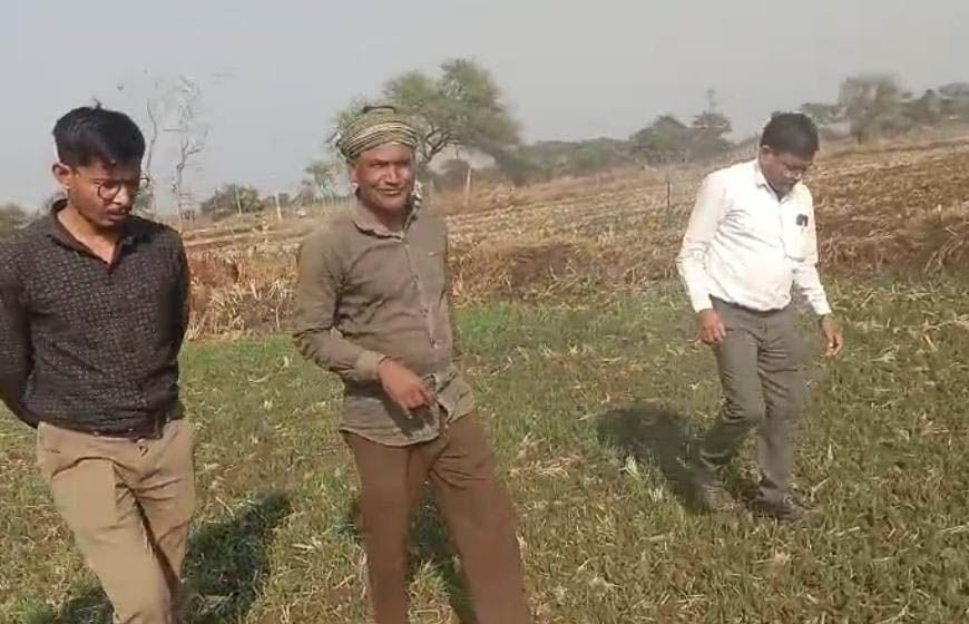 धमतरी : धमतरी जिले में फसल चक्र परिवर्तन एवं मृदा स्वास्थ्य सुदृढ़ीकरण की दिशा में महत्वपूर्ण पहल